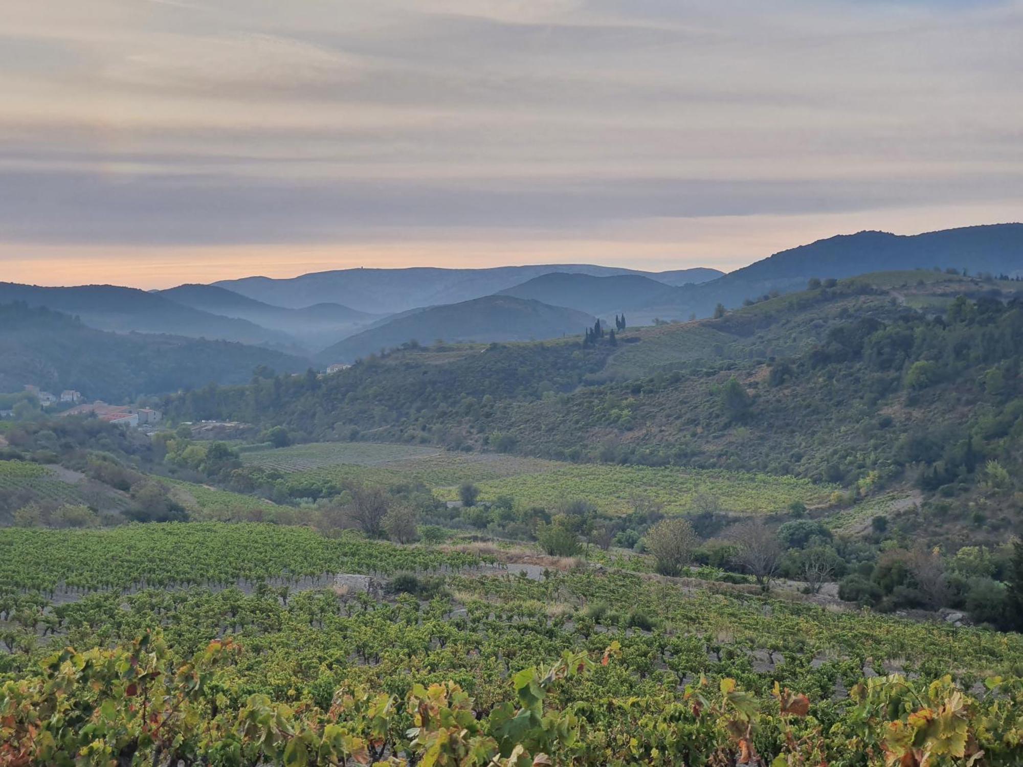 La Barbacane De Cascastel-Des-Corbieres Exterior photo