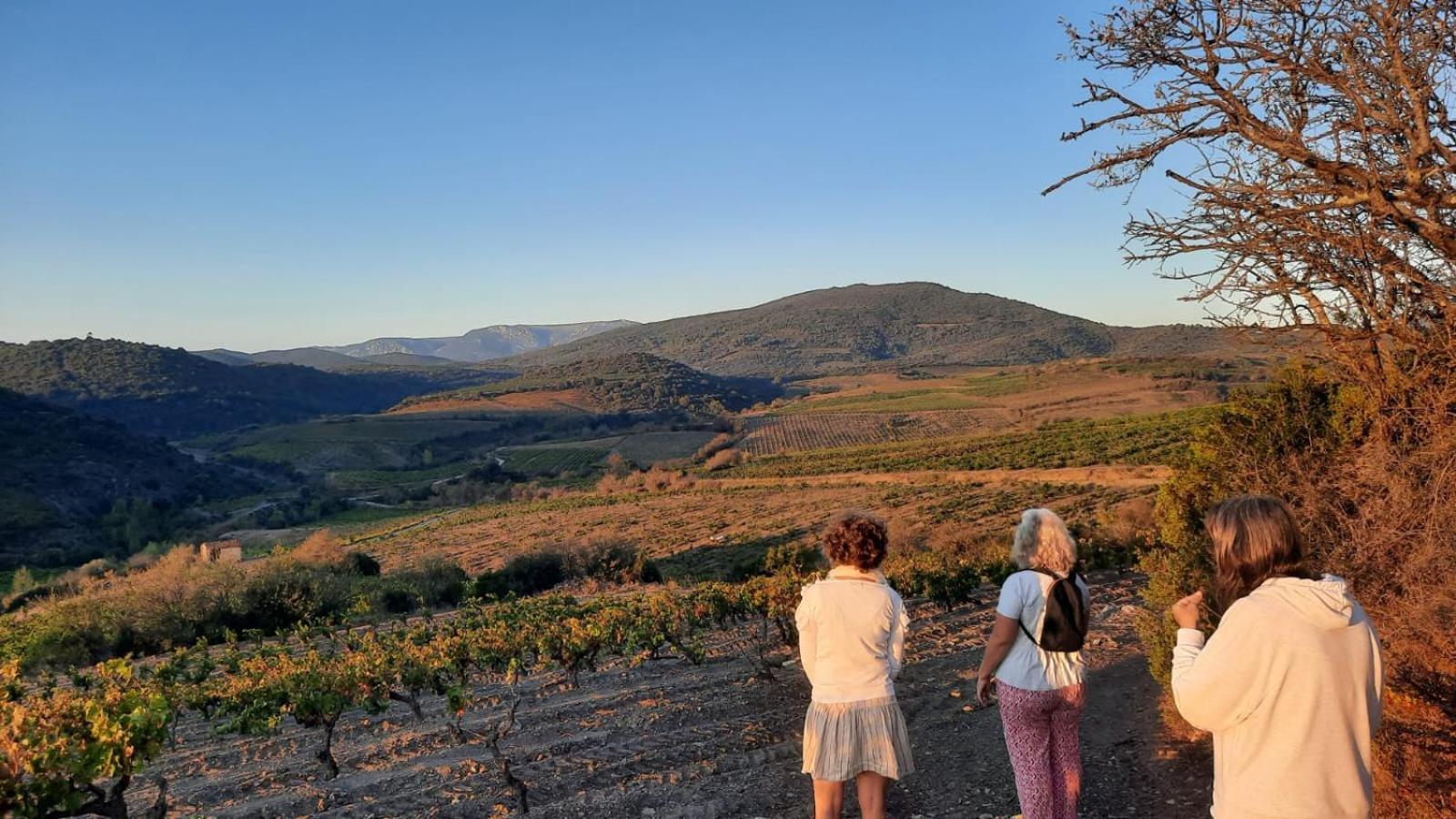 La Barbacane De Cascastel-Des-Corbieres Exterior photo